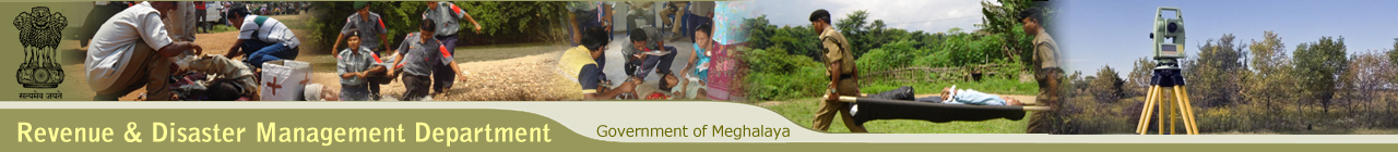 Revenue and Disaster Management Banner
