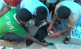 Mock Drill at Umdihar II